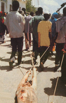 People of Somalia with a death-body of an American pilot